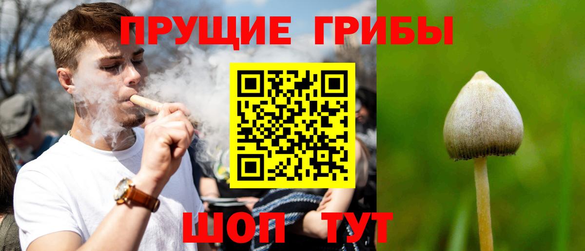 Псилоцибиновые грибы Magic Shrooms  Вход с VPN  сколько стоит  Ликино-Дулёво  Псилоцибиновые грибы Magic Shrooms 
