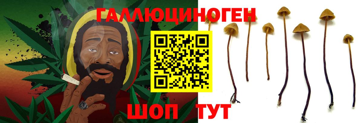 Галлюциногенные грибы MAGIC MUSHROOMS Ликино-Дулёво